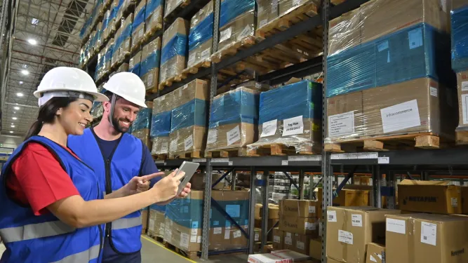 Profissionais separam os produtos em diferentes tipos de armazenagem